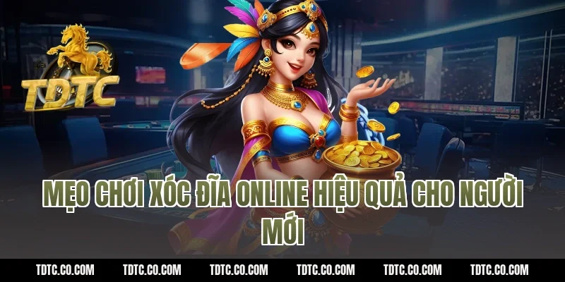 Mẹo chơi xóc đĩa online hiệu quả cho người mới